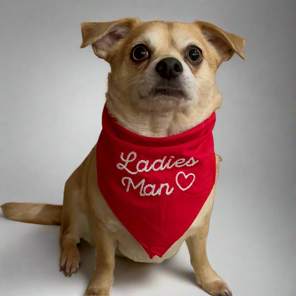 Valentine's Day Embroidered Dog Bandanas