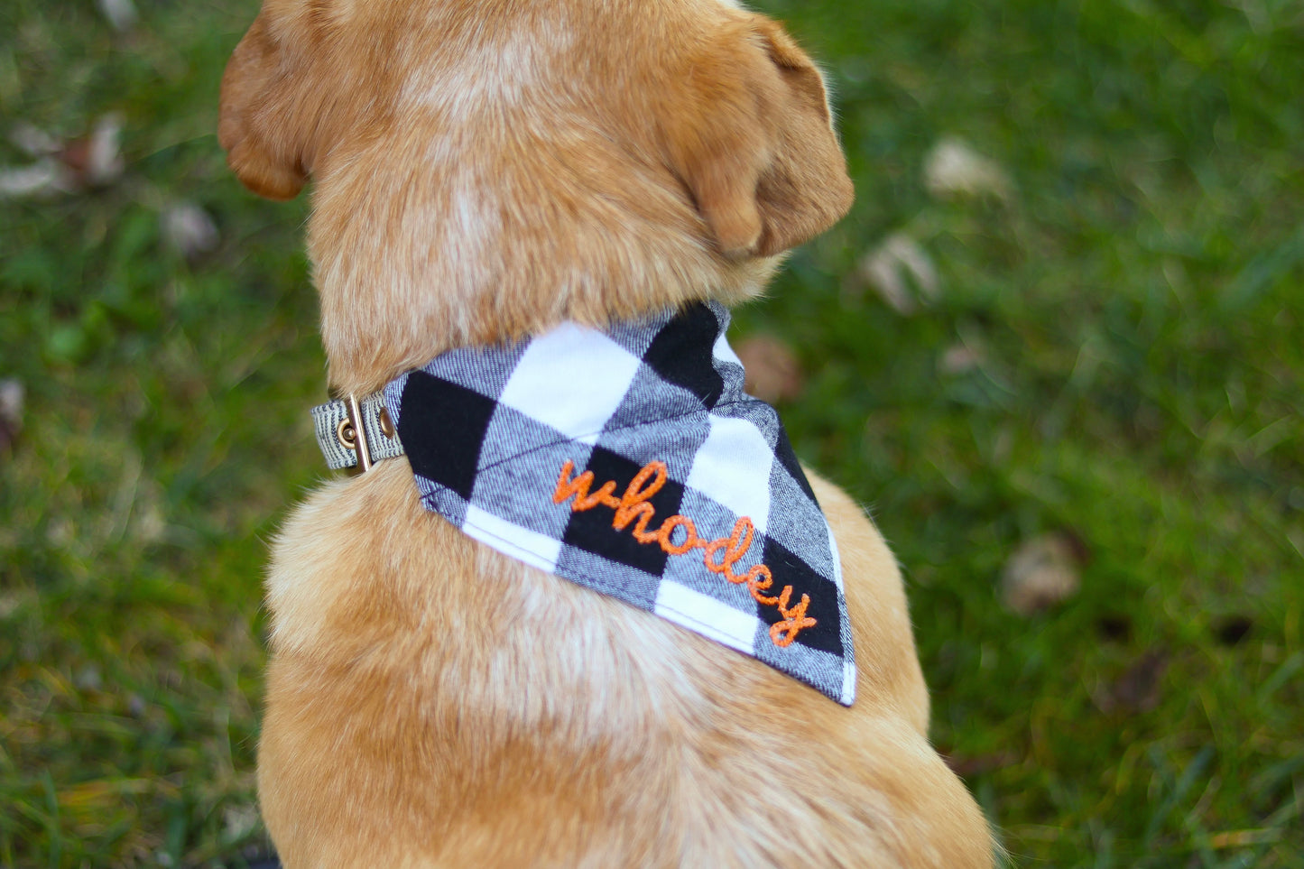 Who Dey Dog Bandanas